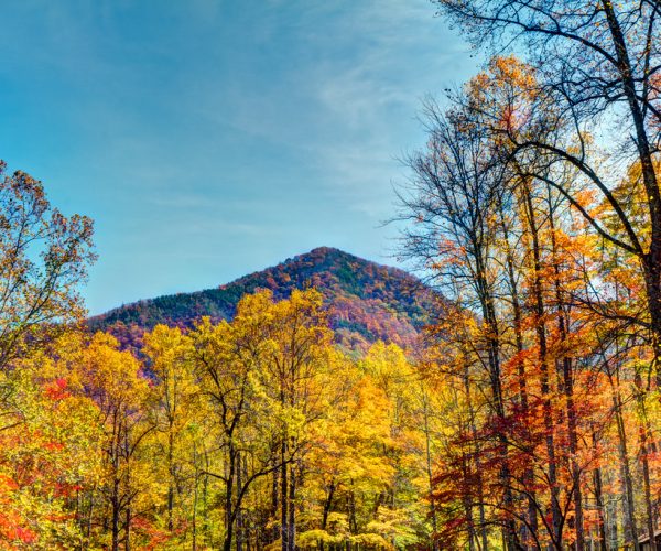 6280839655_2251abb0eb_b